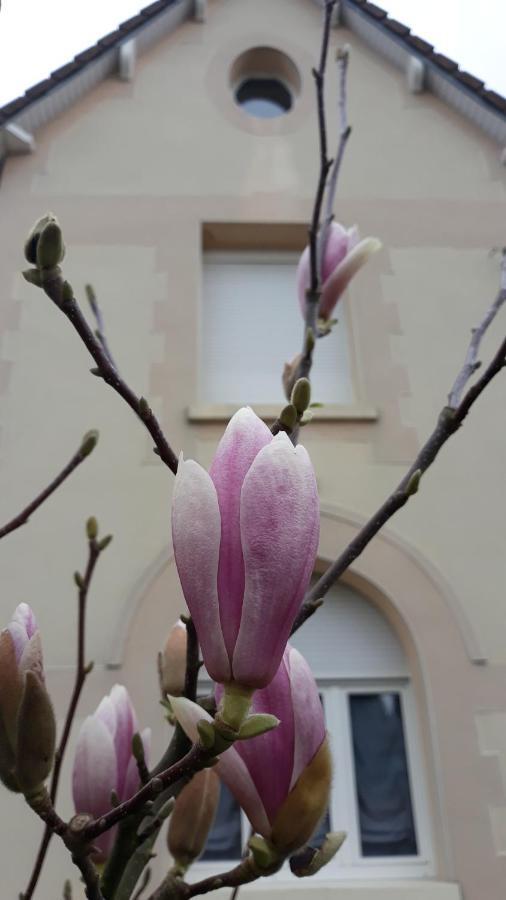 Le Gite Du Magnolia Willerval Екстериор снимка